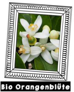 Zutaten_Orangenblüte